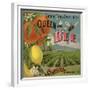 Queen Bee Brand - Corona, California - Citrus Crate Label-Lantern Press-Framed Premium Giclee Print