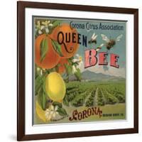 Queen Bee Brand - Corona, California - Citrus Crate Label-Lantern Press-Framed Art Print