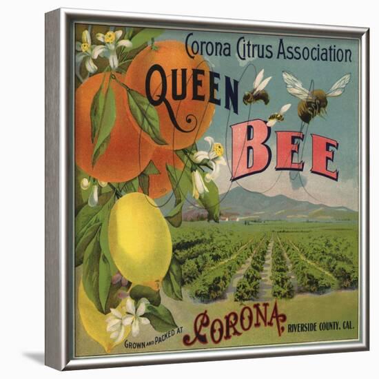 Queen Bee Brand - Corona, California - Citrus Crate Label-Lantern Press-Framed Art Print