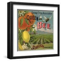 Queen Bee Brand - Corona, California - Citrus Crate Label-Lantern Press-Framed Art Print