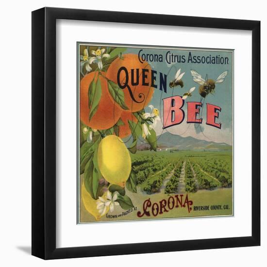 Queen Bee Brand - Corona, California - Citrus Crate Label-Lantern Press-Framed Art Print