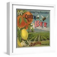 Queen Bee Brand - Corona, California - Citrus Crate Label-Lantern Press-Framed Art Print