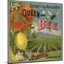 Queen Bee Brand - Corona, California - Citrus Crate Label-Lantern Press-Mounted Art Print