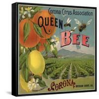 Queen Bee Brand - Corona, California - Citrus Crate Label-Lantern Press-Framed Stretched Canvas