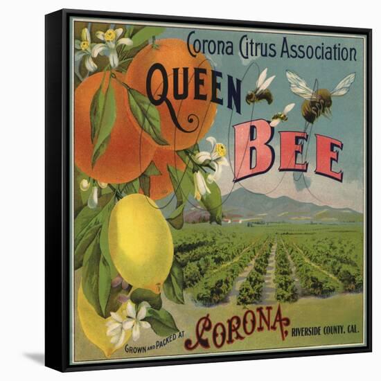 Queen Bee Brand - Corona, California - Citrus Crate Label-Lantern Press-Framed Stretched Canvas