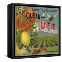 Queen Bee Brand - Corona, California - Citrus Crate Label-Lantern Press-Framed Stretched Canvas