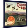 Queen Bee Brand - Corona, California - Citrus Crate Label-Lantern Press-Mounted Art Print