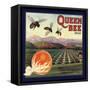 Queen Bee Brand - Corona, California - Citrus Crate Label-Lantern Press-Framed Stretched Canvas