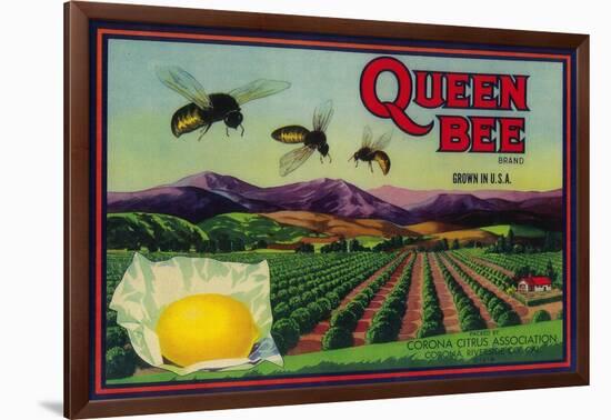 Queen Bee Lemon Label - Corona, CA-Lantern Press-Framed Art Print