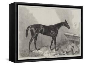 Queen Bertha, Winner of the Oaks-Harry Hall-Framed Stretched Canvas