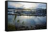 Queen Charlotte Harbor on Haida Gwaii on a Stormy Evening-Richard Wright-Framed Stretched Canvas