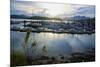 Queen Charlotte Harbor on Haida Gwaii on a Stormy Evening-Richard Wright-Mounted Photographic Print