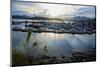 Queen Charlotte Harbor on Haida Gwaii on a Stormy Evening-Richard Wright-Mounted Photographic Print