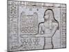 Queen Cleopatra and Stone Carved Hieroglyphics, Egypt-Michele Molinari-Mounted Premium Photographic Print