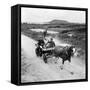 Queen Elizabeth and Prince Charles Touring the Scilly Isles 1967 in a Horse Drawn Cart-null-Framed Stretched Canvas