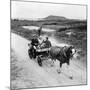 Queen Elizabeth and Prince Charles Touring the Scilly Isles 1967 in a Horse Drawn Cart-null-Mounted Photographic Print