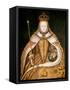 Queen Elizabeth I in Coronation Robes, circa 1559-null-Framed Stretched Canvas