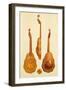 Queen Elizabeth I Lute by John Rose, 1580, from 'Musical Instruments'-Alfred James Hipkins-Framed Giclee Print