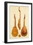 Queen Elizabeth I Lute by John Rose, 1580, from 'Musical Instruments'-Alfred James Hipkins-Framed Giclee Print