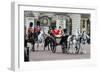 Queen Elizabeth II and Prince Philip at Trooping the Colour ceremony 2015-Associated Newspapers-Framed Photo