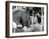 Queen Elizabeth II at Royal Windsor Horse Show-Associated Newspapers-Framed Photo