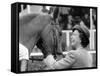 Queen Elizabeth II at Royal Windsor Horse Show-Associated Newspapers-Framed Stretched Canvas