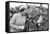Queen Elizabeth II meets  cub scouts in Greenwich-Associated Newspapers-Framed Stretched Canvas
