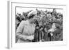 Queen Elizabeth II meets  cub scouts in Greenwich-Associated Newspapers-Framed Photo