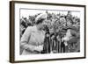 Queen Elizabeth II meets  cub scouts in Greenwich-Associated Newspapers-Framed Photo