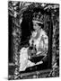 Queen Elizabeth II Riding Along in the Coronation Coach Wearing Crown and Carrying Orb-null-Mounted Photographic Print