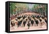 Queen Elizabeth II, Trooping the Colour-Associated Newspapers-Framed Stretched Canvas