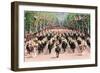 Queen Elizabeth II, Trooping the Colour-Associated Newspapers-Framed Photo