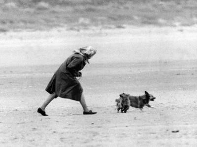 'Queen Elizabeth II walking her pet corgis' Photo - Associated ...