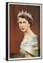 Queen Elizabeth II-null-Framed Stretched Canvas