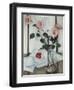 Queen Elizabeth Roses, Samuel John Peploe, c.1918-Samuel John Peploe-Framed Giclee Print