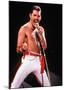 Queen - Freddie Mercury-null-Mounted Poster