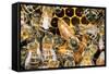 Queen Honey Bee with Attendant Workers-null-Framed Stretched Canvas