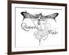 Queen Mab-Willy Pogany-Framed Premium Giclee Print