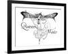 Queen Mab-Willy Pogany-Framed Premium Giclee Print