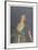 Queen Maria Louisa of Spain-Francisco de Goya-Framed Art Print