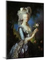 Queen Marie Antoinette with a Rose, 1783-Elisabeth Vigee Le Brun-Mounted Art Print