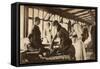 Queen Mary at Cambridgeshire Tuberculosis Colony-null-Framed Stretched Canvas