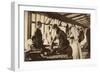 Queen Mary at Cambridgeshire Tuberculosis Colony-null-Framed Photographic Print