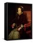 Queen Mary I (1516-58) 1554-Antonis Mor-Framed Stretched Canvas