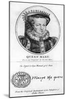 Queen Mary I of England-Antonis Mor-Mounted Giclee Print