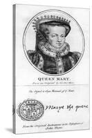 Queen Mary I of England-Antonis Mor-Stretched Canvas