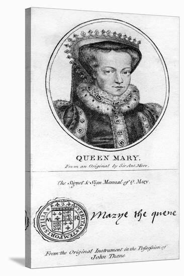 Queen Mary I of England-Antonis Mor-Stretched Canvas