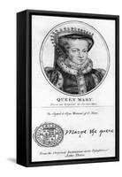 Queen Mary I of England-Antonis Mor-Framed Stretched Canvas