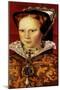 Queen Mary I-null-Mounted Giclee Print