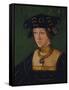 Queen Mary of Hungary, 1524-Hans Krell-Framed Stretched Canvas